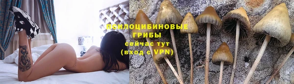 прущий лед Абаза